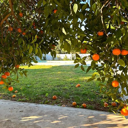 شقة The Orange Garden نافبليو المظهر الخارجي الصورة
