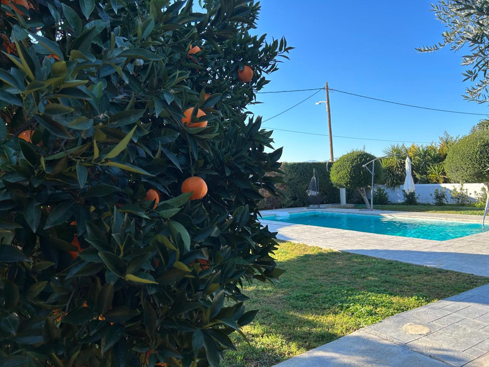 شقة The Orange Garden نافبليو المظهر الخارجي الصورة